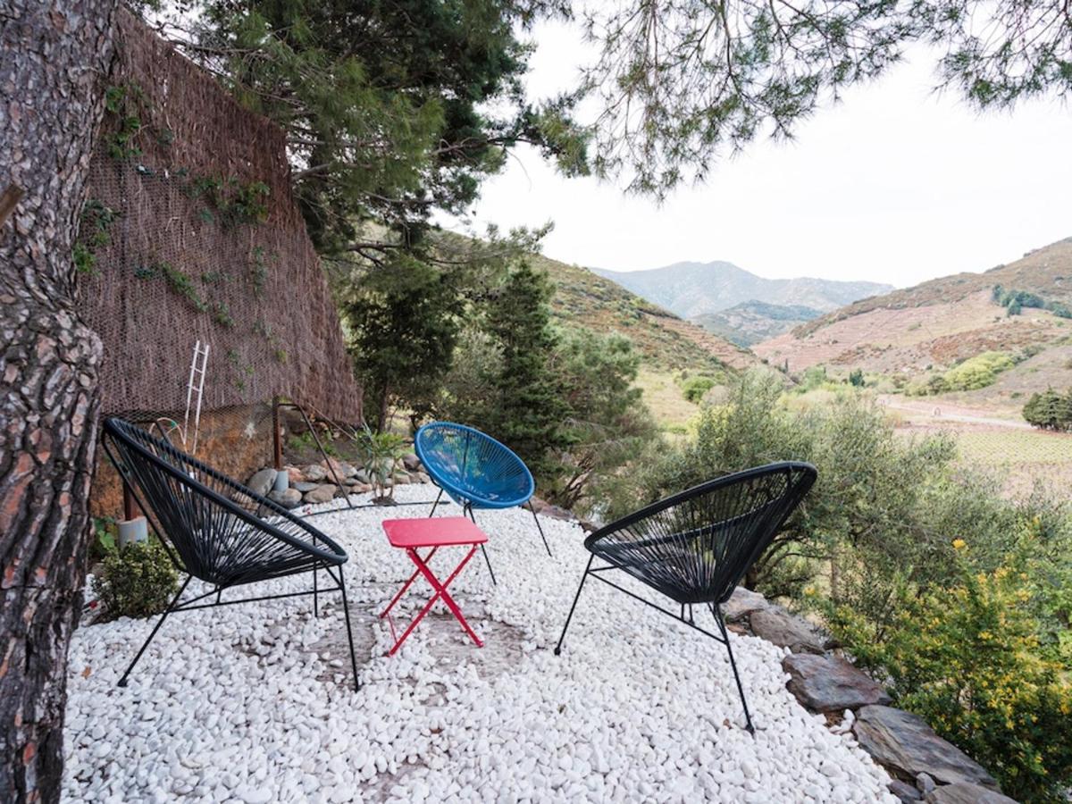 Maison F2 Independante Avec Terrasse, Climatisation Et Wifi A Banyuls-Sur-Mer - Fr-1-309-262 Экстерьер фото